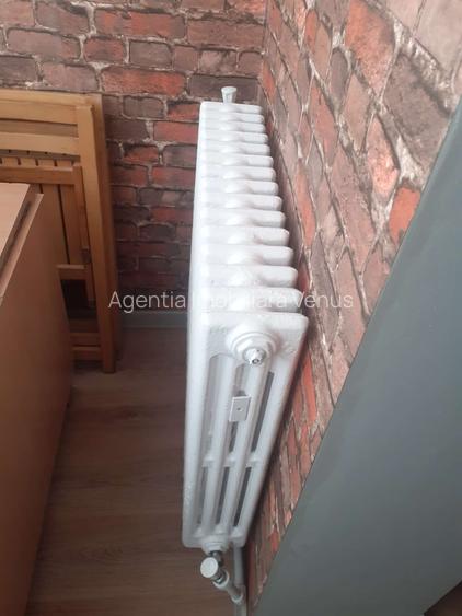 Garsoniera confort 1 la strada Calea Nationala-zona Electro Alfa - 7