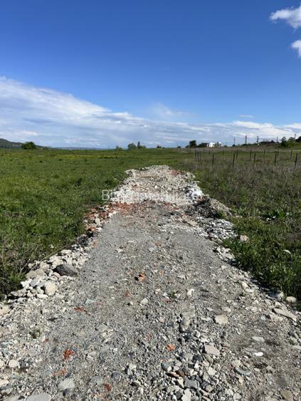 Teren Valea Chintaului / Cluj 5.547mp  parcelabil  - 7