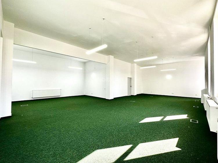 Birouri lângă Primăria Timișoara - 4