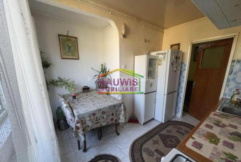 Vanzari 3 Camere DRISTOR PARK LAKE pret excelent - 5