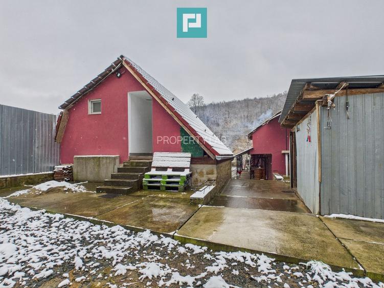 Casă individuală în Lipova - 2