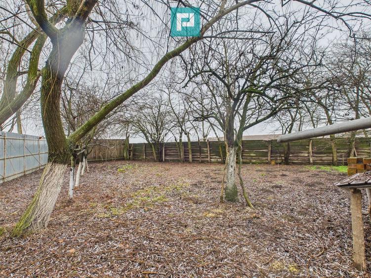 Casă cu 2 corpuri și 3 camere în Nădab - 13