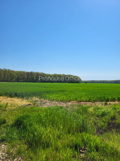 Golf Natural de Pădure Teren Unic  doar la Snagov - 2