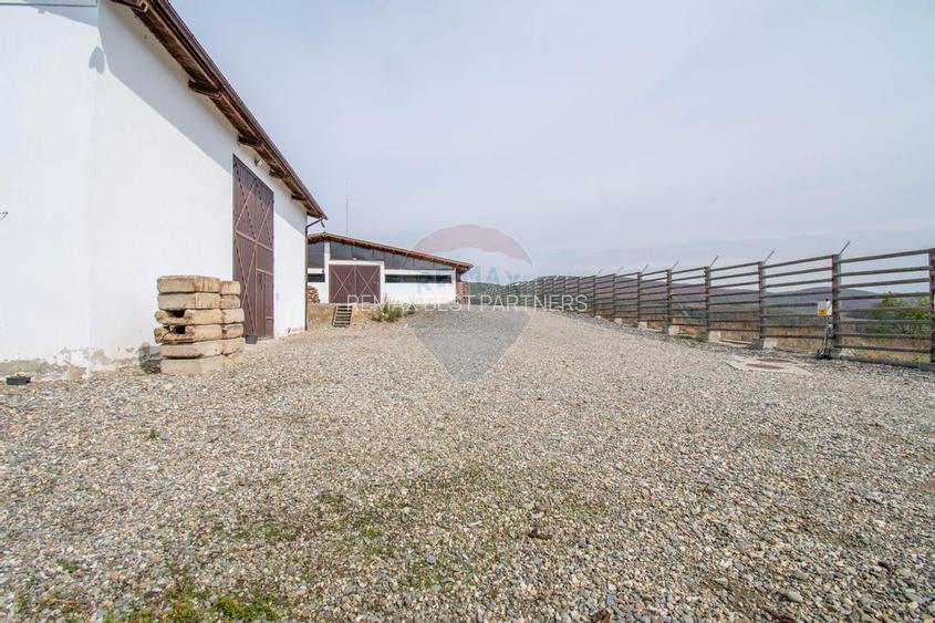 Ferma moderna de porci de vanzare in Curtuiusu Dejului - 22