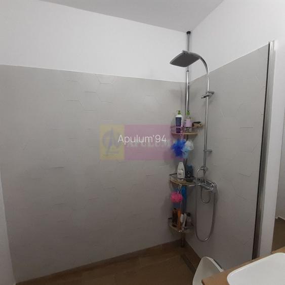 Casă pe Parter în Măgurele, aproape de București - 46