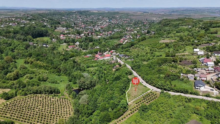 SE VINDE Teren INTRAVILAN de 1313mp si teren EXTRAVILAN de 18.687mp in RADADENI - 8