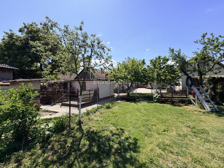 Casa individuala cu 2158 mp teren - Zona centrala - Mosnita Veche - 3