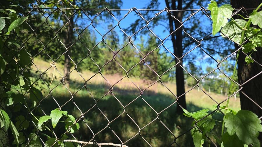 Teren intravilan 1825 mp de vanzare in Valea Doftanei