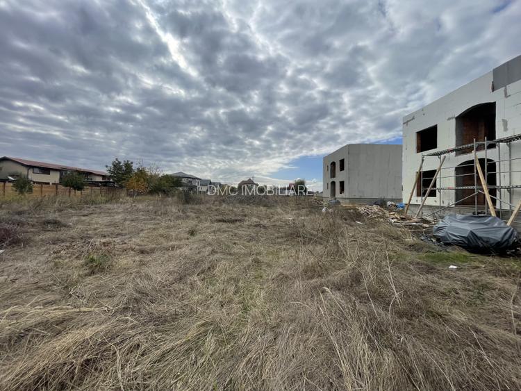 Domnești, Drumul Târgului, teren 1876 mp, 66ml x 28 ml, se poate parcela - 3