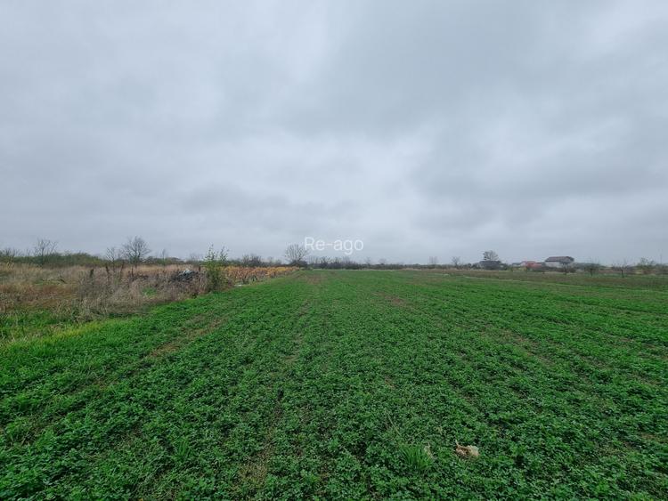 TEREN CASA/ MOGOSESTI GIURGIU - 2