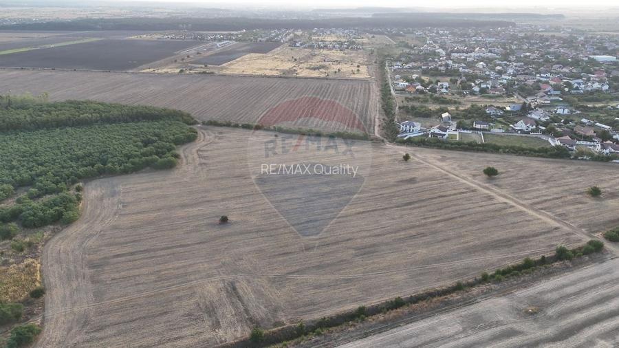 Teren investitie, intravilan Tamasi / Buftea - 4