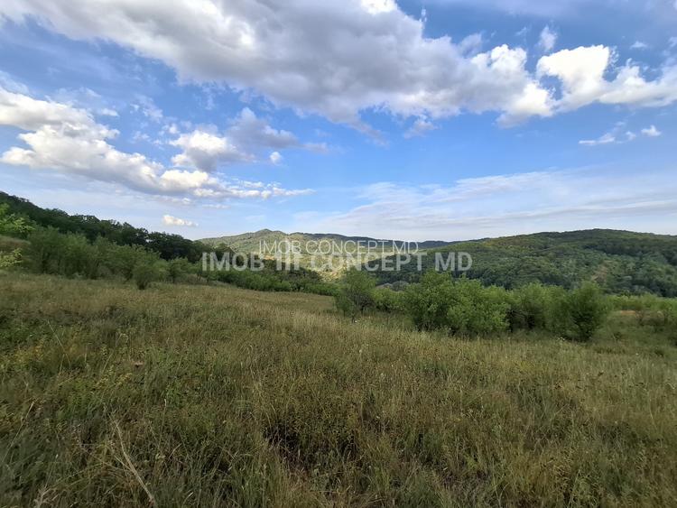 Teren spectaculos cu padure, livada si priveliste panoramica in Soimari PH - 6