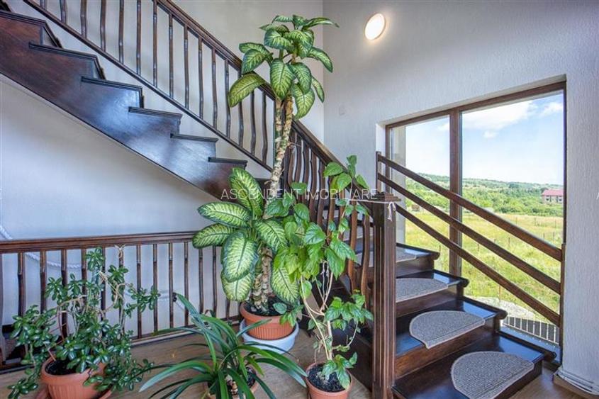 Select complex, + 1.000 mp teren, Bran, Brasov - 7