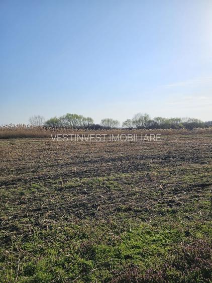 Teren extravilan pentru balastiera Biharia - 3