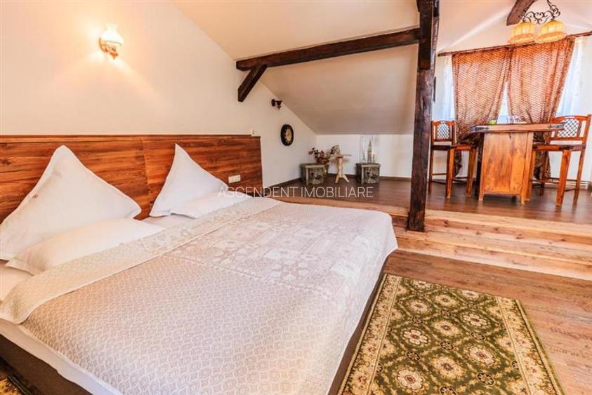 Hotel Bielmann,unicitate si profitabilitate optima in turism,Sanpetru, Brasov - 55