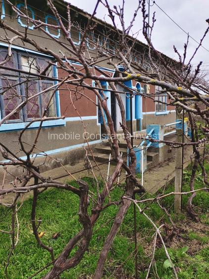 Seimenii Mici  Casa  Individuala 3 Camere Chirpici  S.teren  2100 Mp/42 Acte OK - 11