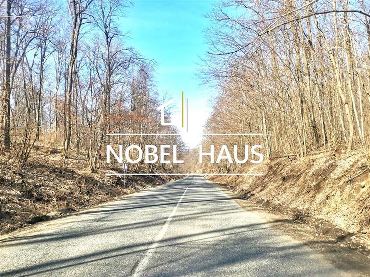 Casa, teren si padure, in sat Siscani, jud Vaslui - 18