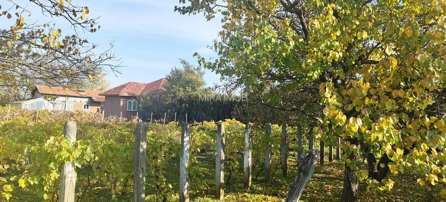 Anunț Vânzare Proprietate Rurală – sat Bușca, comuna Mihăiești, județul Olt - 3