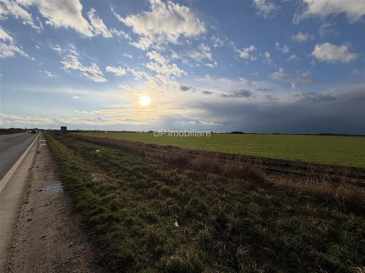 TEREN INTRAVILAN 24457 MP | 80 ML FRONT STRADAL | ORADEA | BIHOR - 3