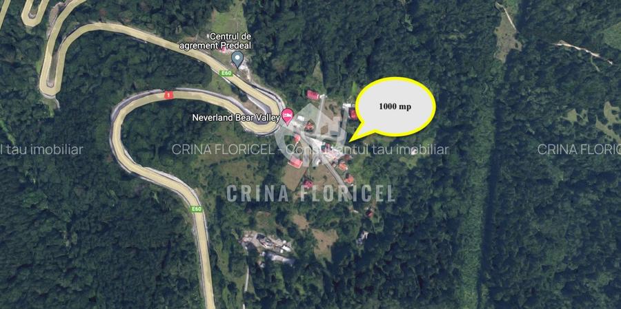 Teren cu padure 1000 mp, Predeal - Strada Pajistei - Valea Ursuletul - 4