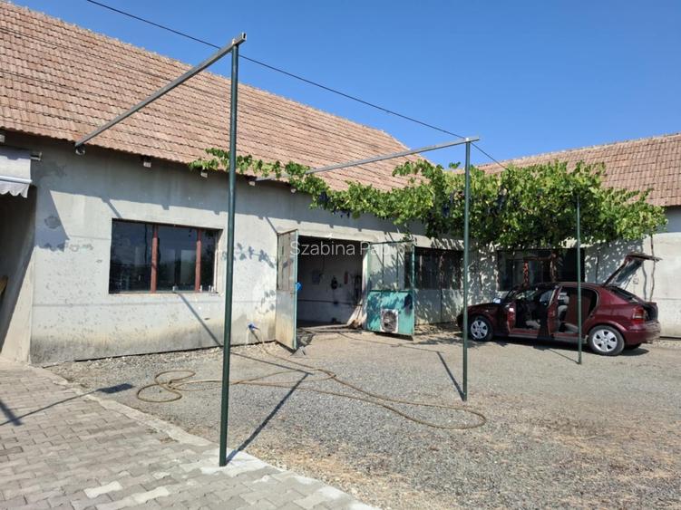 Se vinde casă + teren generos în comuna Acîș (aprox. 38 km de Satu Mare) - 10