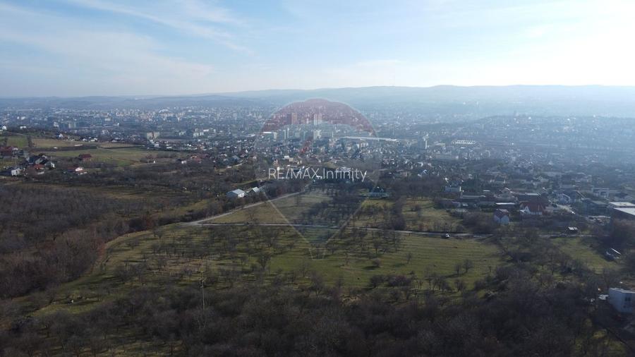 Teren 20.146 mp Dâmbu Rotund (Lomb).Extravilan.Potențial rezidențial - 7