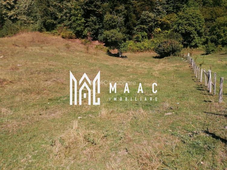 Teren Extravilan 20.000Mp I Stoenești -Vâlcea I Apă Curentă și Pădure - 3