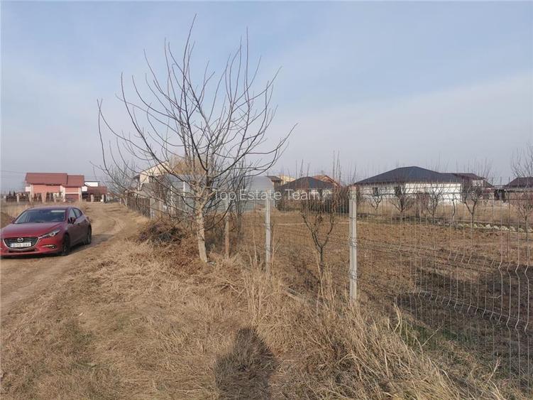 Teren 633mp imprejmuit in centru Domnesti/posibilitate schimb - 3