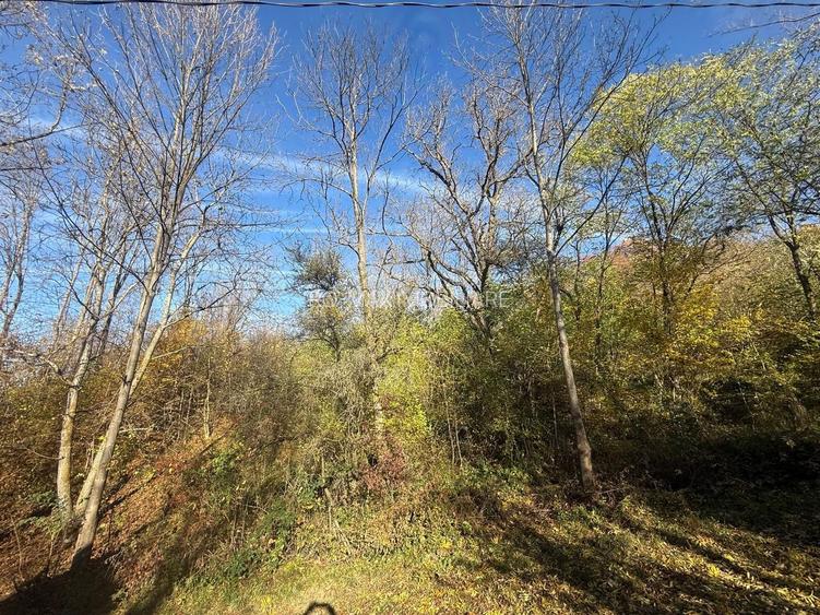 Teren langa pădure 6400mp+casa demolabila-deschidere 35 ml - 11