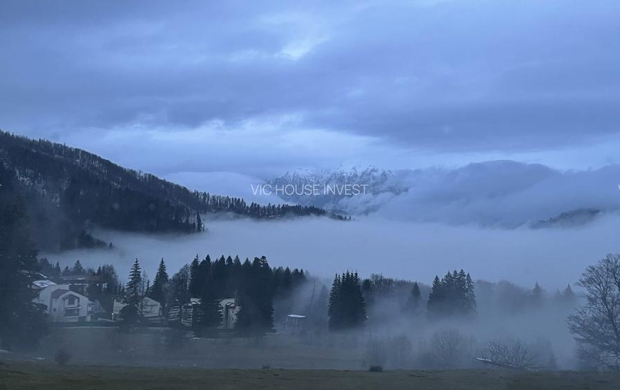 Casa de vacata Predeal Trei Brazi - 17