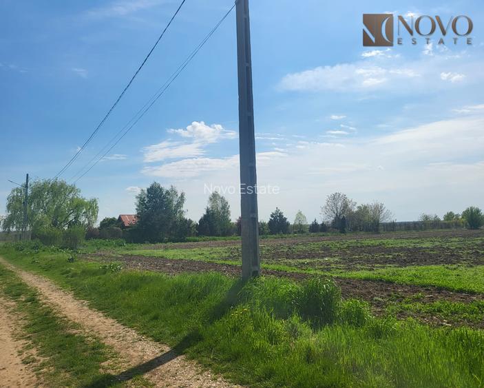 Teren 11.000 mp | Gradistea | Oportunitate Dezvoltare - 6