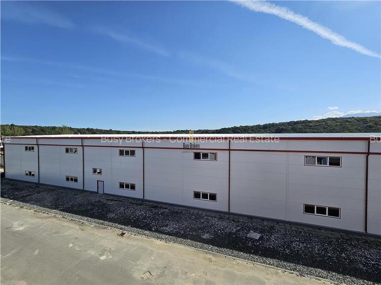 Spatiu Industrial -  6500 mp - Productie - Depozitare - 4