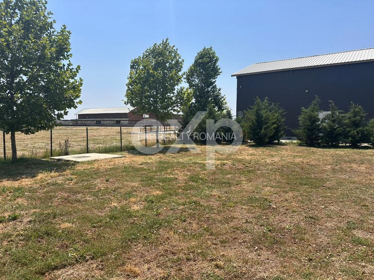 Ferma cu abator autorizat | Singureni Giurgiu - 7