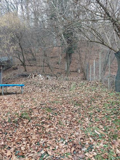 Casa de vacanta/rezidential - 7