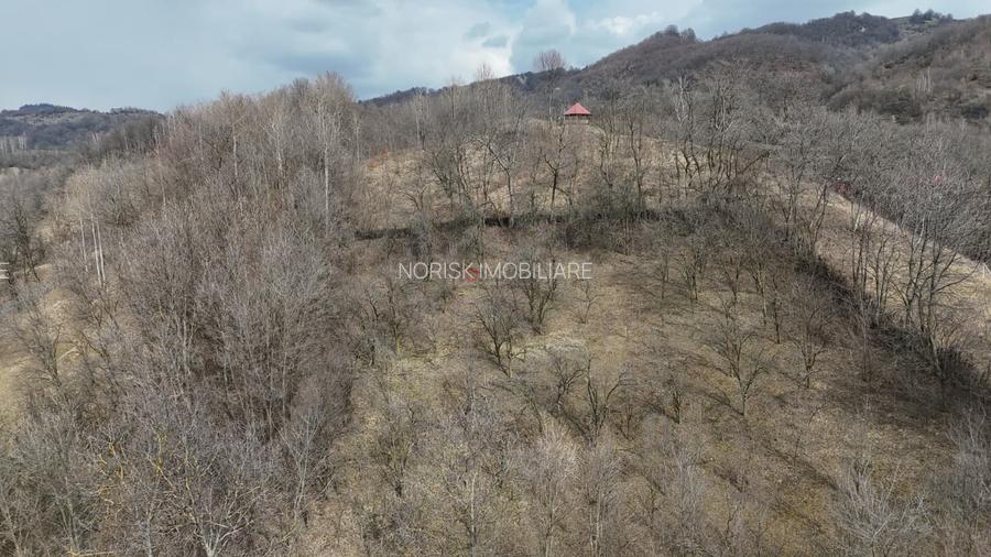 Oportunitate investitie teren  – Cerașu, Prahova | 3.485 mp | View spectaculos - 8