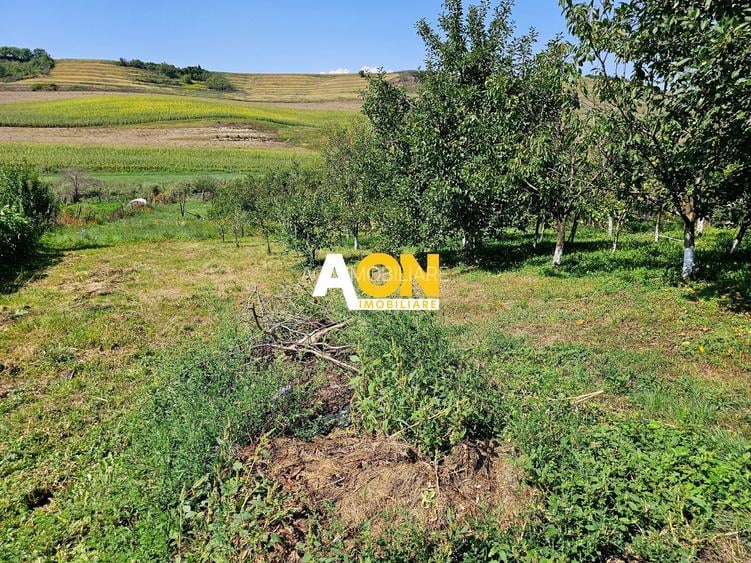 Casă batranească, 3 camere, 2200 mp teren, sat Bucerdea Grânoasă - 14