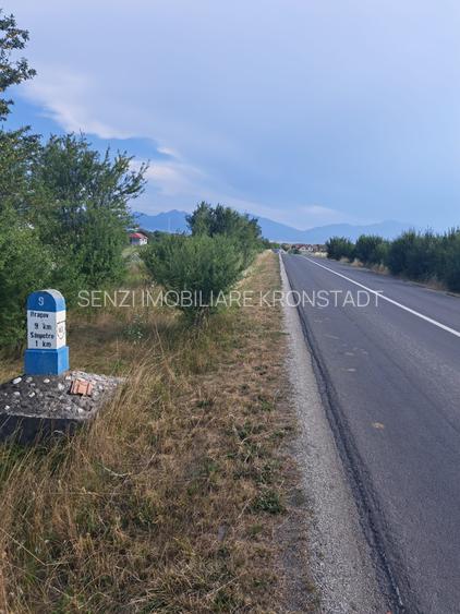 Teren Intravilan - 3
