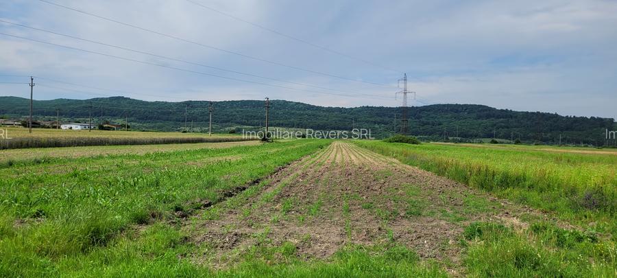 TEREN AGRICOL BABENI LANGA ABATOR LA PROVINCIA - pretabil ferma cu panour solare - 2