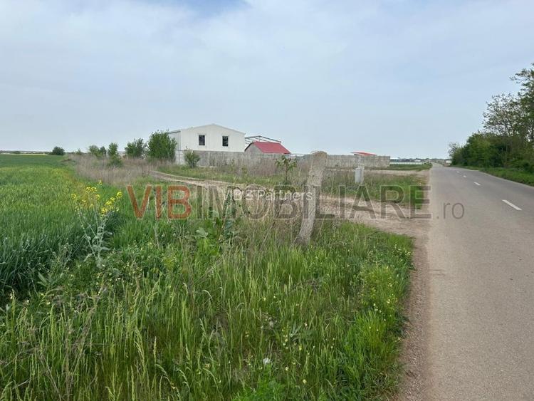 Comuna Dascalu - A0 - teren intravilan 4500 mp - 3