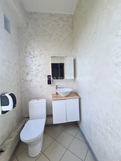 Birouri de inchiriat - Tatarasi Aurel Vlaicu - 8