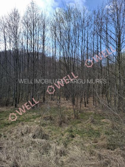 🏡 Teren de vânzare în Sovata – Strada Stâna de Vale - 4