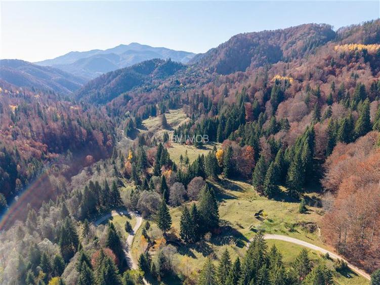 Teren de Vis langa Siriu  – 20000 mp ideal pentru Complex turistic Comision 0% - 11