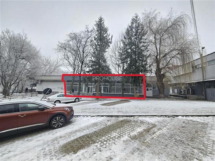 Spatiu Comercial, 250mp, Narcisa-ONIX - 13