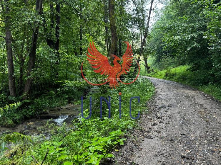 18000 mp de natura pura ,Lupeni, langa Straja - 11