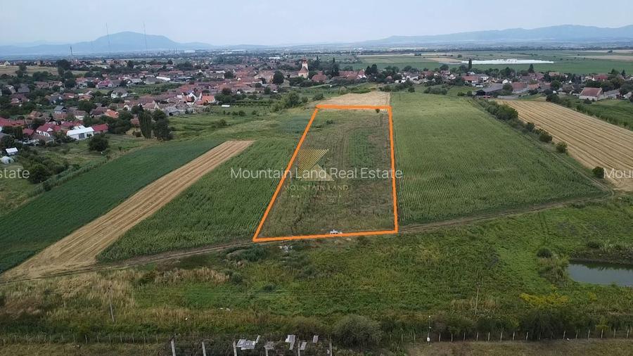 Posibilitate RATE | Teren Bod | curti constructii | utilitati | PUZ, - 4