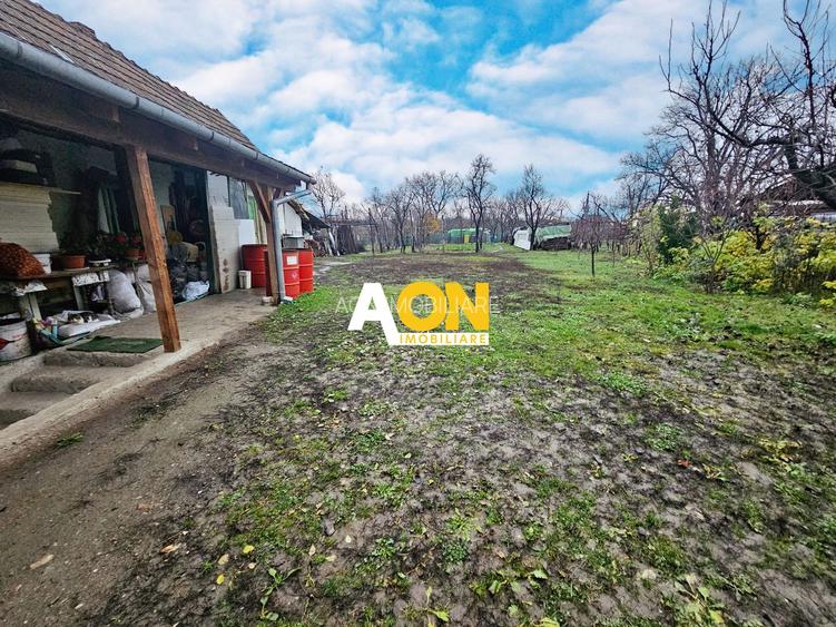 Casa cu doua corpuri, 5 camere, 1580 mp teren, Dealul Furcilor - 2