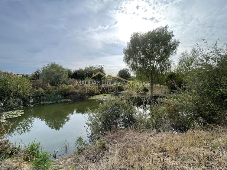 Teren intravilan ***15.000mp*** deschidere Lac Snagov 120ml // Snagov - 3