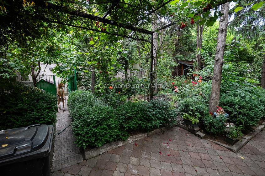 Casă de închiriat, 3 camere, curte privată, mansarda, crama - 13