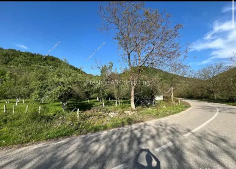 Teren 2000mp | Muntele Mic - 2