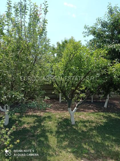 Casa 5 camere - Corbu - 115.000 euro (Cod E2+E7) - 10